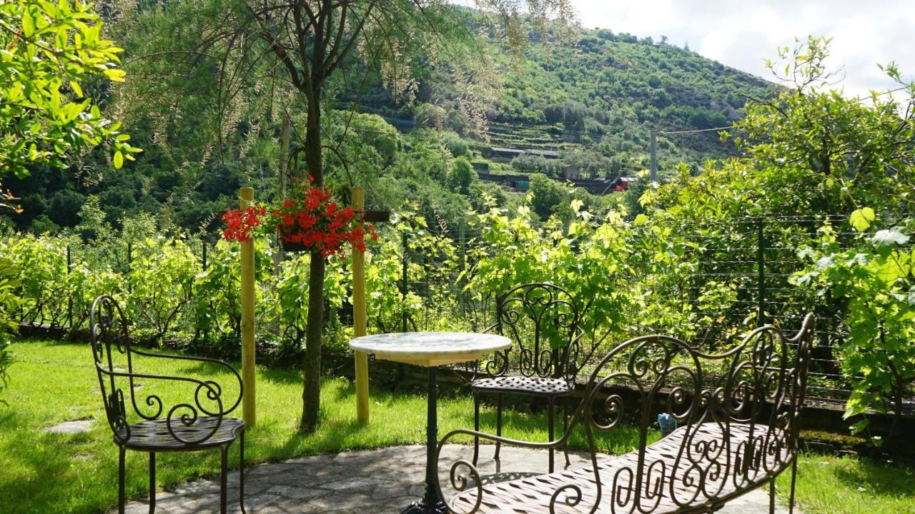 Bed and Breakfast La Libellula Rossa à Erli Extérieur photo