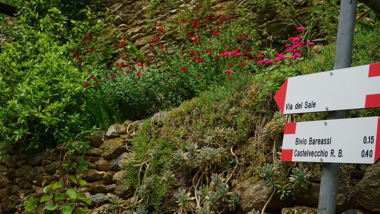 Bed and Breakfast La Libellula Rossa à Erli Extérieur photo